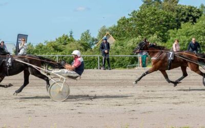 Ristūnų žirgų lenktynėse Estijoje: lietuviams atiteko 6 prizinės vietos, du mūsų ristūnai pagerino greičio rezultatus