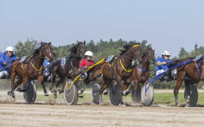 Artėjant Baltijos taurei’24, aiškėja Lietuvos metų lyderiai