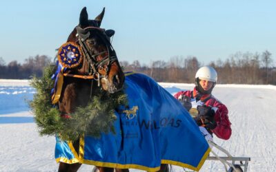 Įvyko „Sartai 2026“: Didįjį žiemos prizą iškovojo Egidijaus Gudonio ir žirgo Brave Sensation duetas
